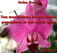 /album/fotogaleria/son-muchisimos-jpg/